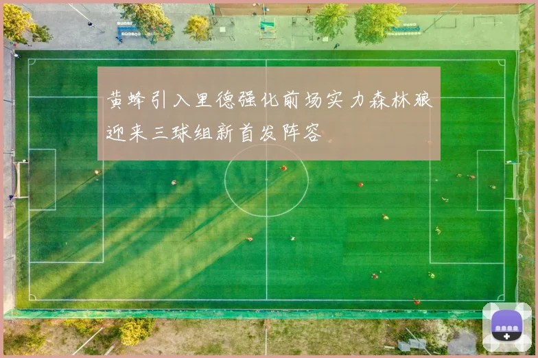 黄蜂引入里德强化前场实力森林狼迎来三球组新首发阵容