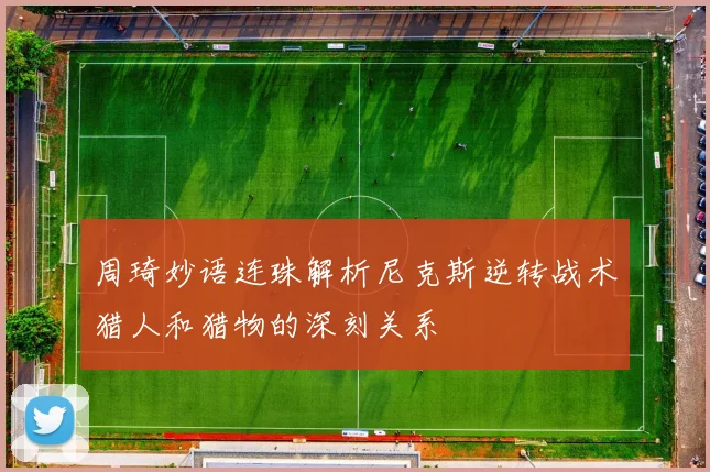 周琦妙语连珠解析尼克斯逆转战术猎人和猎物的深刻关系