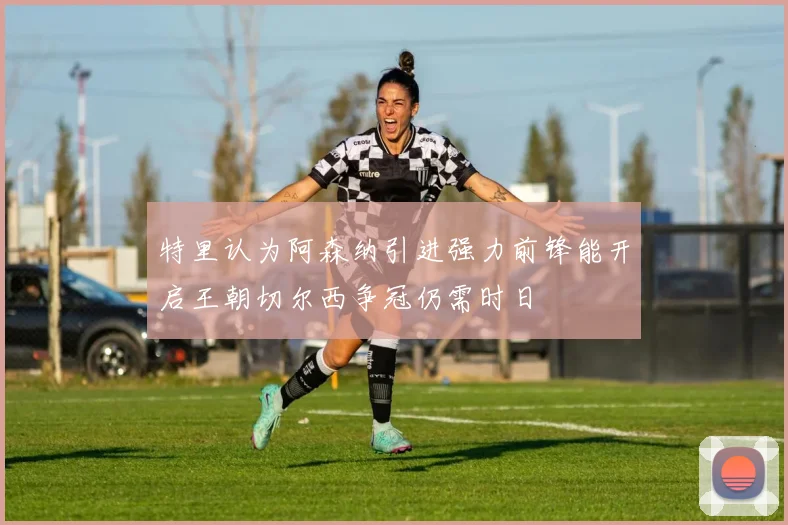 特里认为阿森纳引进强力前锋能开启王朝切尔西争冠仍需时日