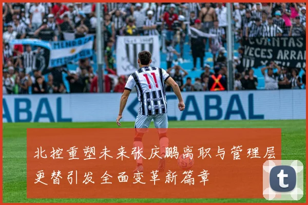 北控重塑未来张庆鹏离职与管理层更替引发全面变革新篇章